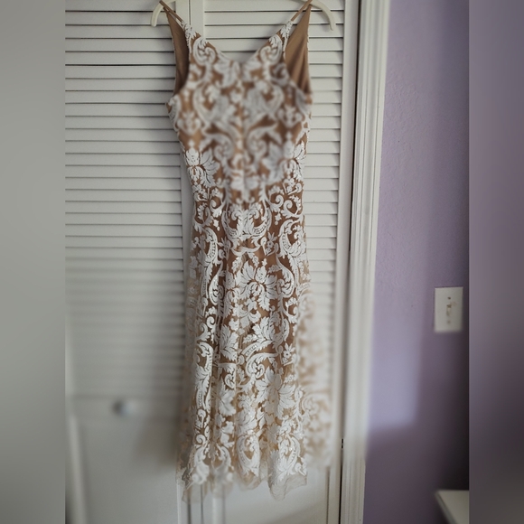 Dress The Population Lace Midi Dress - Picture 4 of 6